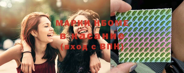 амф Краснослободск