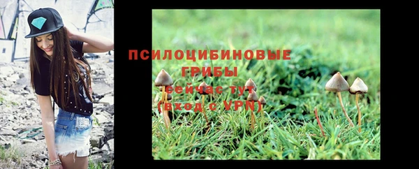 альфа пвп Коряжма