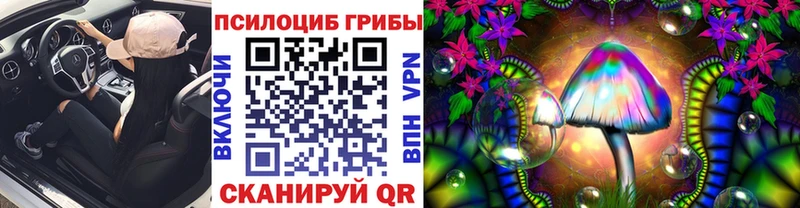 blacksprut онион  Каменск-Уральский  Галлюциногенные грибы Psilocybine cubensis 